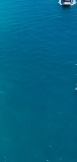 Aerial view of a boat on vibrant blue ocean waters, a serene mobile wallpaper.