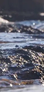 Serene ocean waves over textured rocky shoreline in sunlight.