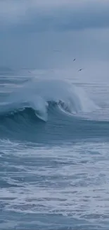 A serene ocean wave captured in motion.