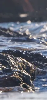 Serene ocean waves gently rolling ashore in soft sunlight.