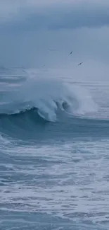 Tranquil ocean waves under a cloudy sky.