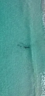 Aerial view of turquoise ocean waves meeting a calm sandy beach.