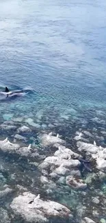 Ocean landscape with swimming whale and rocks below surface.