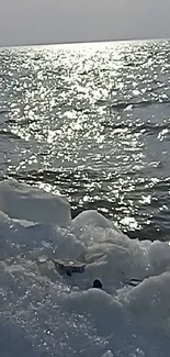 Tranquil ocean view with sunlight on icy shore.