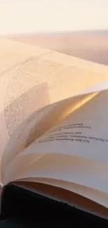 Open book with pages turning in sunlight.