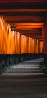 Orange torii gate pathway creating a serene and tranquil atmosphere in Japan.