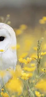 Owl in a field of vibrant yellow flowers, capturing a serene moment in nature.