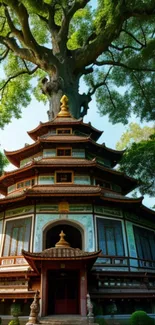 Serene Asian pagoda with a majestic tree canopy providing shade.