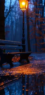 Serene night park scene with illuminated lamp and bench reflection.