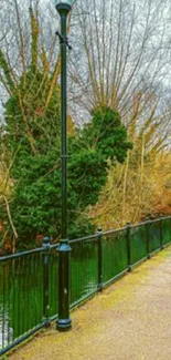 Peaceful park path with greenery and black lamp posts.