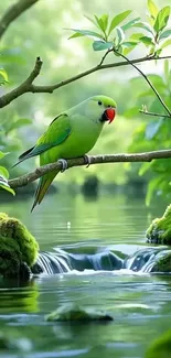 Vibrant green parrot perched by a waterfall in a lush forest setting.