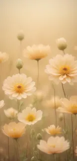 Delicate beige flowers in a soft pastel wallpaper setting.