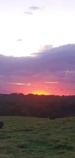 A serene sunset over pastoral fields with grazing cattle and vibrant colors.