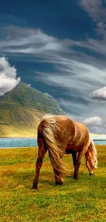 A lone horse grazes on a lush green field with dramatic skies and a mountain view.