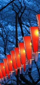 A pathway of glowing red lanterns at night with dark blue trees overhead.