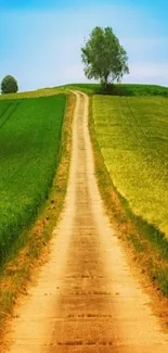 Tranquil path through lush green fields under blue sky.