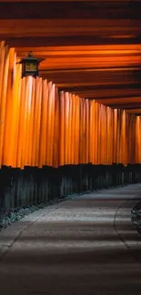 Serene pathway through vibrant orange Torii gates in cultural landscape.