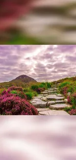 Stone pathway through blooming flowers under a purple sky.