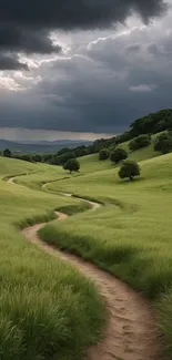 A winding path through lush green hills under cloudy skies.