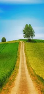 Serene landscape with road, trees, and blue sky on a phone wallpaper.