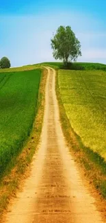 Mobile wallpaper of a green pathway leading through fields under a blue sky.