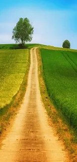 Scenic pathway through lush green fields under a bright blue sky.