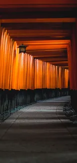 Pathway through vibrant orange torii gates, Japanese scenery.