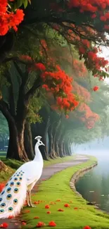 Peacock standing by a floral-lined path next to a tranquil stream.
