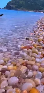 Pebble beach with clear blue waters and scenic views.