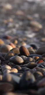 Close-up view of pebbles on a serene beach, perfect for mobile wallpapers.