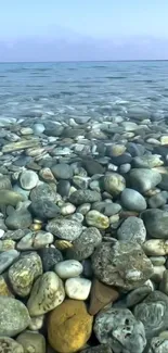 Serene pebble beach with clear water and rocks.