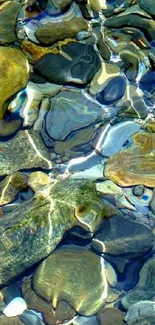 Serene stream with smooth pebbles and clear water under sunlight.