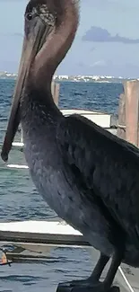 Pelican perched by ocean with blue water and sky in the background.