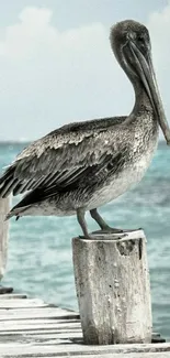 Pelican perched by turquoise sea on a wooden dock.