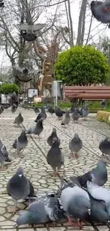 Pigeons gather peacefully on a stone pathway in a tranquil urban park.