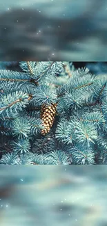 Blue evergreens with a pine cone mobile wallpaper.