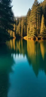 Serene pine forest reflecting in a calm lake.