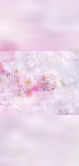 Mobile wallpaper with pink cherry blossoms on a soft pastel background.