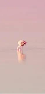 Minimalist pink flamingo on a serene lake background.