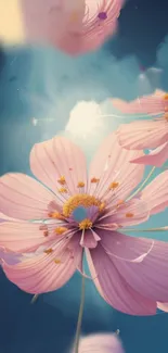 Beautiful pink flowers on a serene sky blue background in artistic wallpaper.