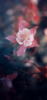 Serene pink flower bloom with soft dark background.