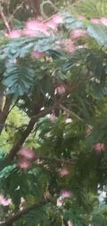 Serene pink flowers on a lush green tree in nature.