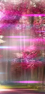 Serene pink forest with sunlight streaming through trees.