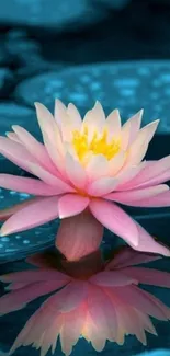 Pink lotus flower reflecting on calm blue water.