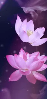 Serene mobile wallpaper featuring elegant pink lotus flowers.