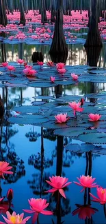 Vibrant pink lotus flowers bloom in a serene pond surrounded by tranquil reflections.