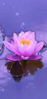 Serene pink lotus floating on tranquil violet water.