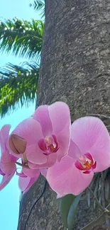 Pink orchids on tree trunk with tropical background.