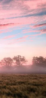 Tranquil pink and blue sky over misty fields wallpaper.