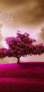 Wallpaper featuring a pink tree on a vibrant landscape with a dramatic sky.